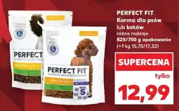 Kaufland PERFECT FIT oferta
