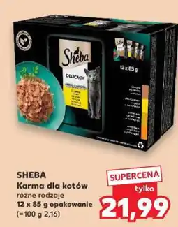 Kaufland SHEBA Karma dla kotów oferta