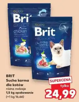 Kaufland BRIT Sucha karma dla kotów oferta