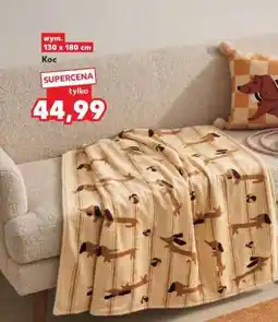 Kaufland Koc oferta