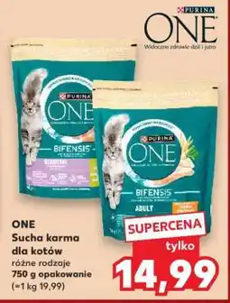 Kaufland ONE Sucha karma dla kotów oferta