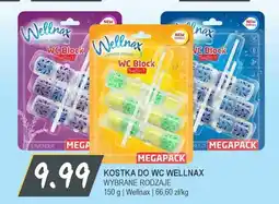 Słoneczko Kostka do WC Wellnax oferta