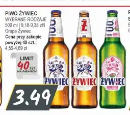 Słoneczko Piwo Żywiec oferta