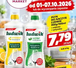 EMMA market Płyn do naczyń Ludwik miętowy oferta