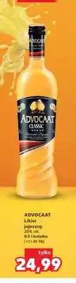 Kaufland Likier jajeczny Advocaat oferta