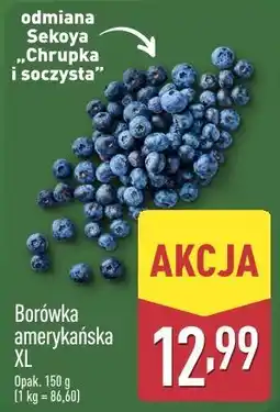 ALDI Borówka amerykańska XL oferta
