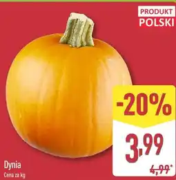 ALDI Dynia oferta