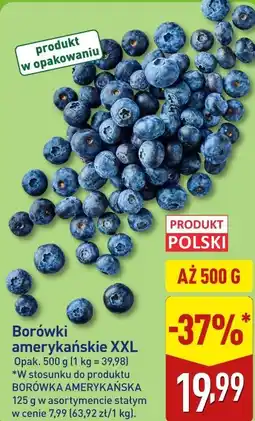 ALDI Borówki amerykańskie XXL oferta