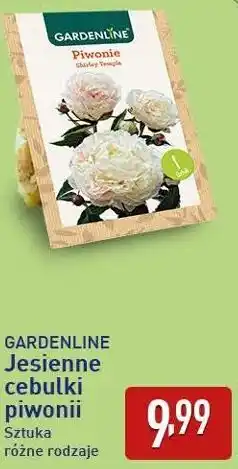 ALDI GARDENLINE Jesienne cebulki piwonii oferta