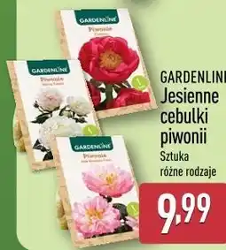 ALDI GARDENLINE Jesienne cebulki piwonii oferta