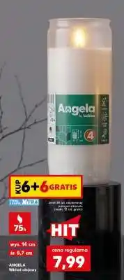 Kaufland ANGELA Wkład olejowy oferta