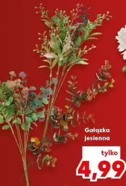 Kaufland Gałązka jesienna oferta