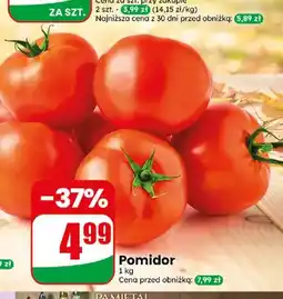 Dino Pomidory oferta