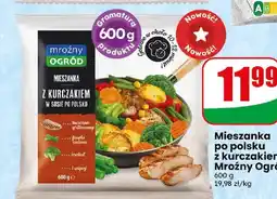 Dino Mieszanka po polsku z kurczakiem Mroźny Ogród oferta