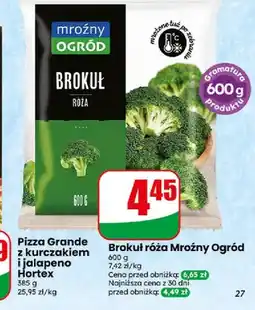 Dino Brokuł róża Mroźny Ogród oferta