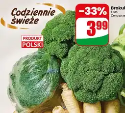 Dino Brokuł oferta
