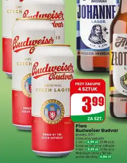 Dino Piwo Budweiser Budvar oferta