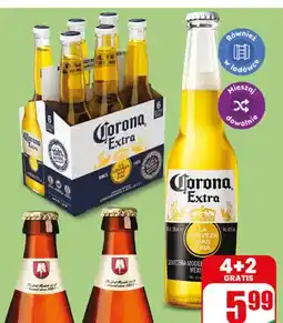 Dino Piwo Corona oferta