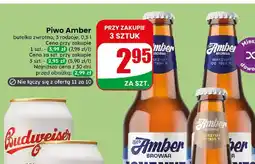 Dino Piwo Amber Złote Lwy oferta