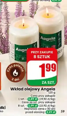 Dino Wkład olejowy Angela oferta