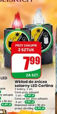 Dino Wkład do znicza solarny LED Cortina oferta