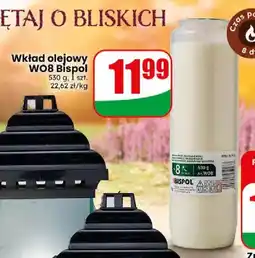 Dino Wkład olejowy WO8 Bispol oferta