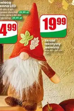 Dino Skrzat tekstylny jesienny oferta