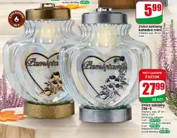Dino Znicz szklany ZSE-5 oferta