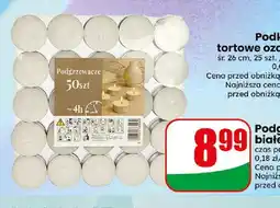 Dino Podgrzewacze białe bezzapachowe oferta
