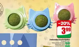 Dino Zabawka kocimiętka oferta