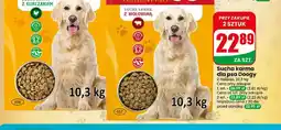 Dino Sucha karma dla psa z kurczakiem Doogy oferta