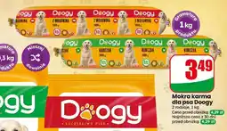 Dino Mokra karma dla psa z wołowiną Doogy oferta
