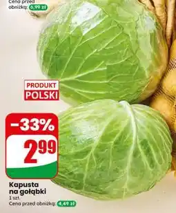 Dino Kapusta na gołąbki oferta