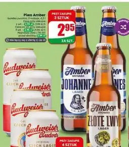 Dino Piwo Amber oferta