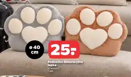 Netto Poduszka dekoracyjna łapka oferta