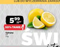 Netto Cytryny oferta