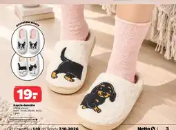 Netto Kapcie damskie oferta
