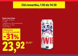 Lidl Piwo Żywiec 8-pak oferta