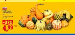 Lidl Polskie dynie ozdobne luzem oferta