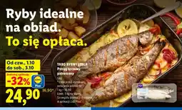 Lidl Pstrąg tęczowy patroszony Targ Rybny Lidla oferta