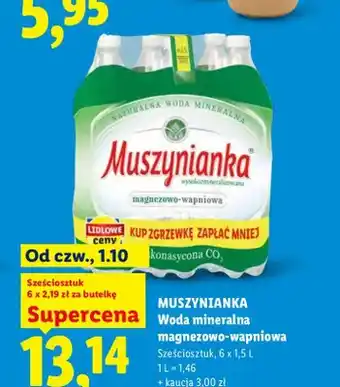 Woda mineralna gazowana magnezowo-wapniowa 6-pak Muszynianka