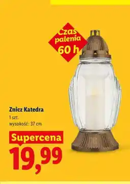 Lidl Znicz Katedra oferta