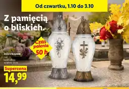 Lidl Znicz z krzyżem oferta