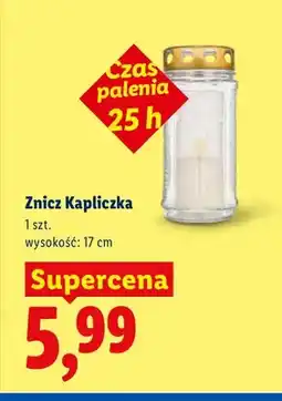Lidl Znicz Kapliczka oferta
