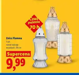 Lidl Znicz Flamma oferta