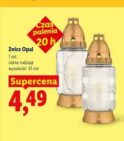 Lidl Znicz Opal oferta