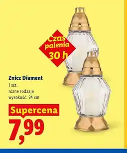 Lidl Znicz Diament oferta