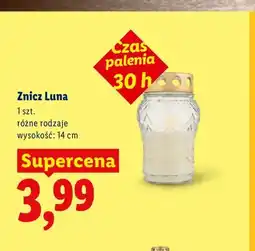 Lidl Znicz Luna oferta