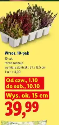 Lidl Wrzos 10-pak oferta