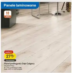 Castorama Panel podłogowy Dąb Calgary oferta